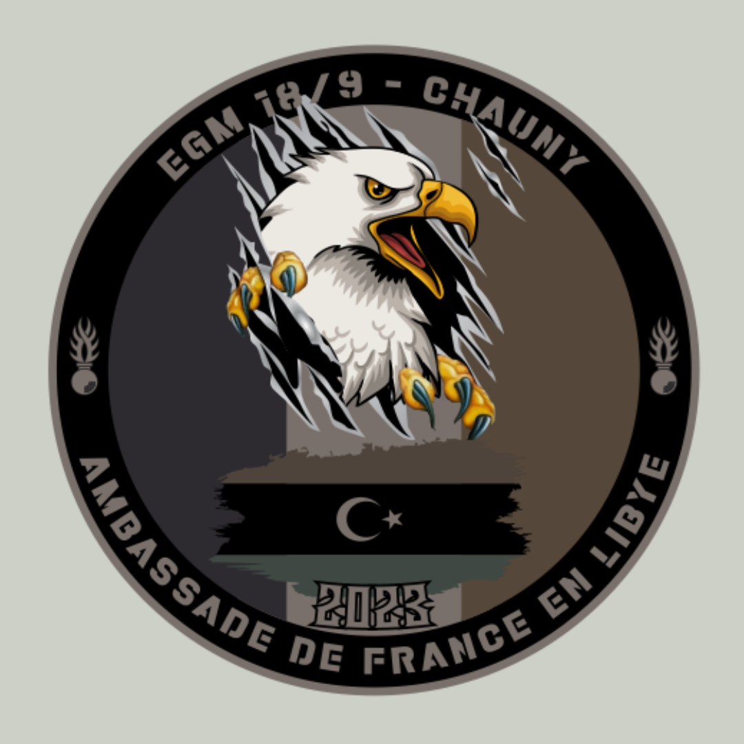 Déclinaison de couleurs - logo/emblème