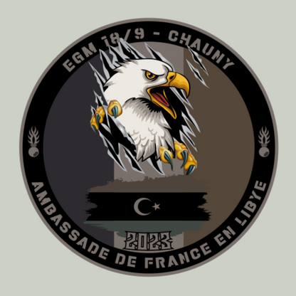 Déclinaison de couleurs - logo/emblème