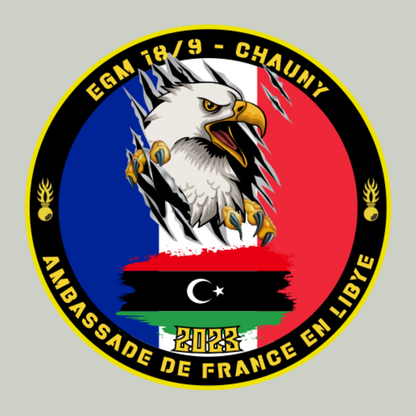 Déclinaison de couleurs - logo/emblème
