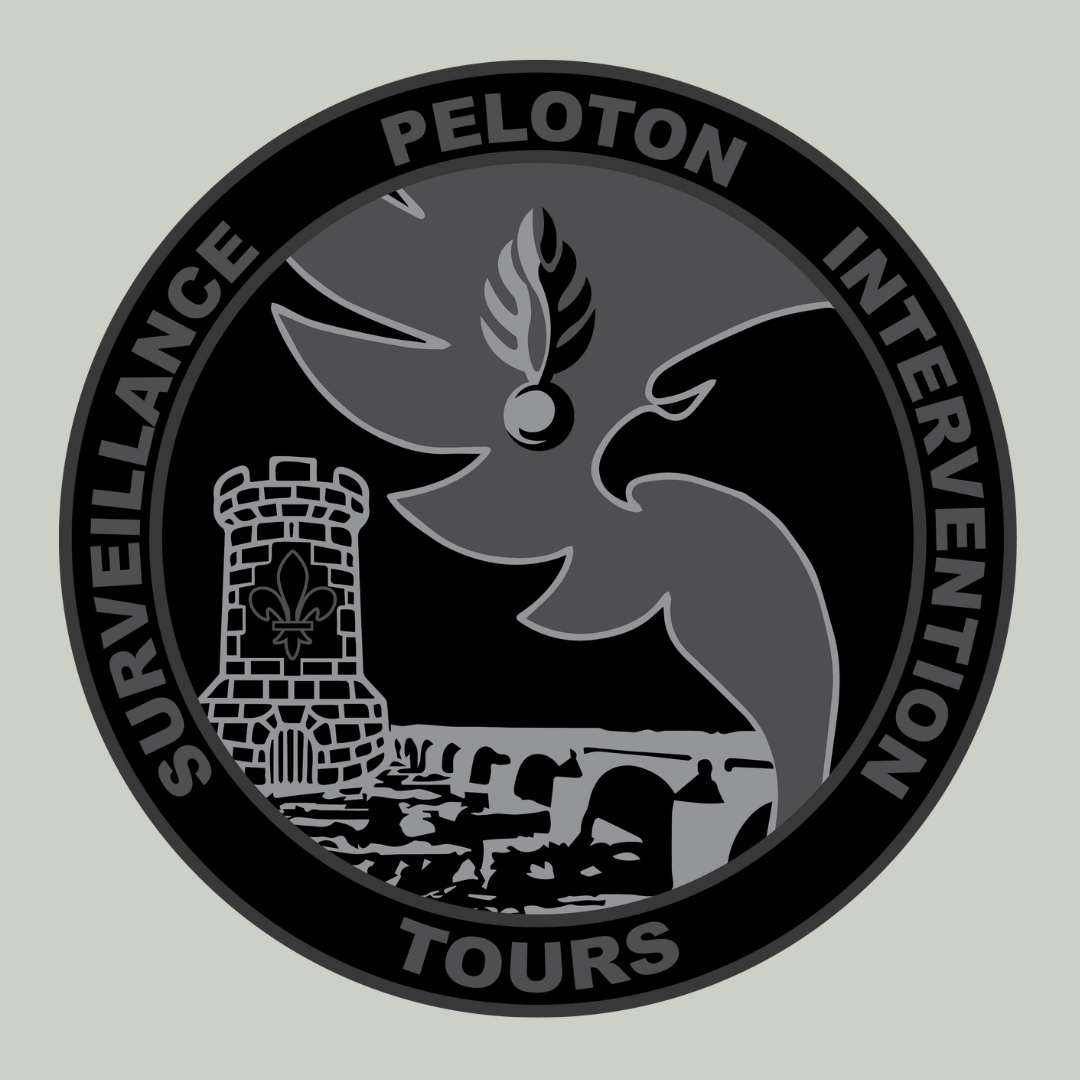 Déclinaison de couleurs - logo/emblème