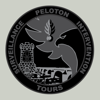 Déclinaison de couleurs - logo/emblème